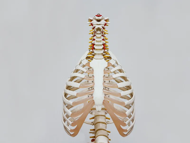 How X-Rays works at Health & Healing Family Chiropractic